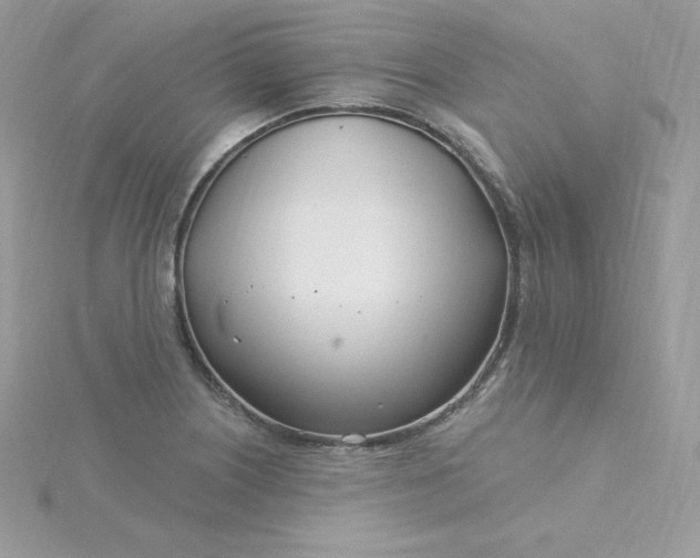 X0000115831226200911271152