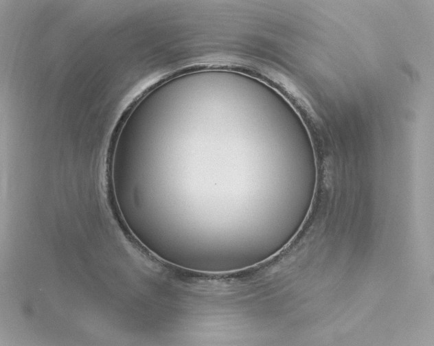 X0000115831229200911271152