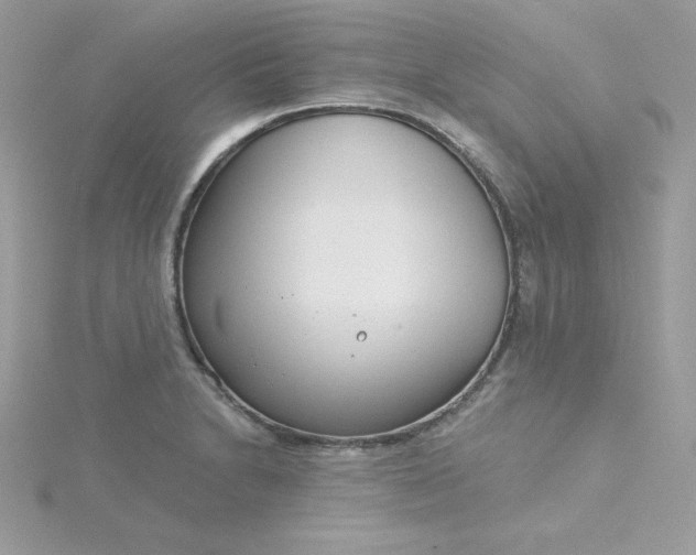 X0000115831230200911271152