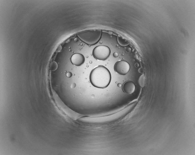 X0000115831231200911271152