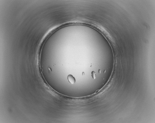 X0000115831232200911271152