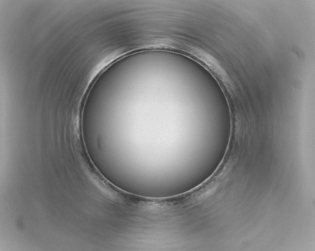 X0000115831234200911271152