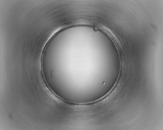 X0000115831236200911271152