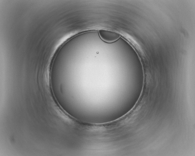 X0000115831238200911271152