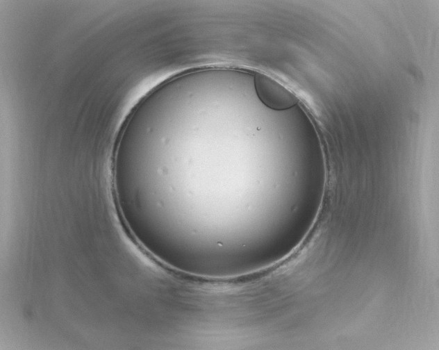 X0000115831239200911271152