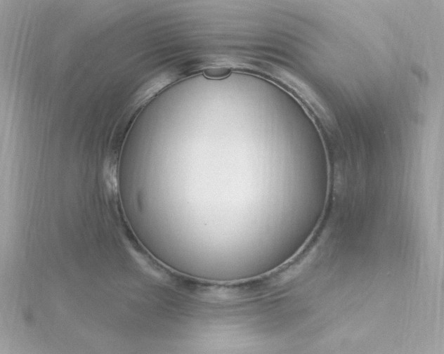 X0000115831241200911271152