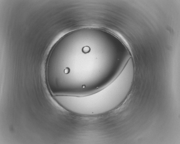 X0000115831243200911271152