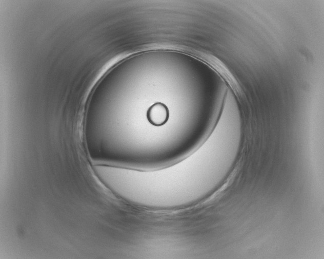 X0000115831244200911271152