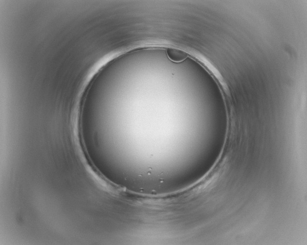 X0000115831245200911271152