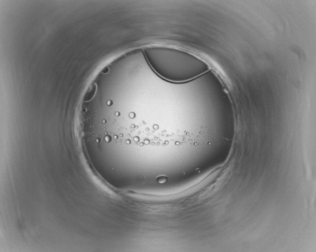 X0000115831247200911271152