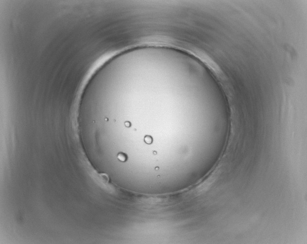 X0000115831248200911271152