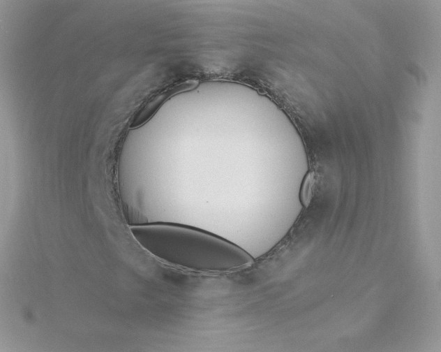 X0000115831249200911271152