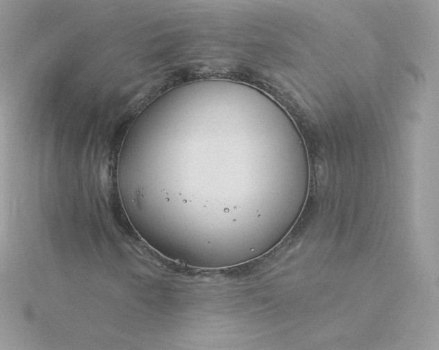 X0000115831250200911271152