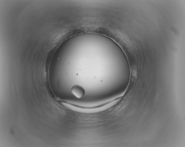 X0000115831252200911271152