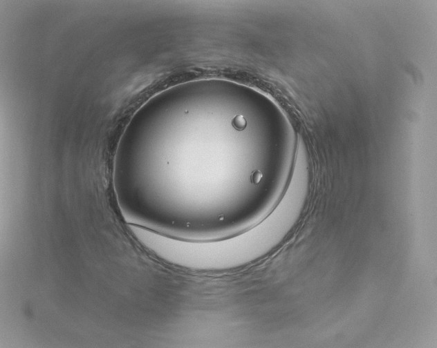 X0000115831253200911271152