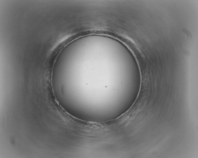 X0000115831255200911271152