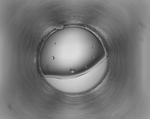 X0000115831257200911271151