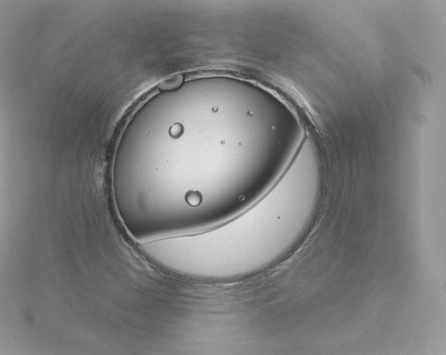 X0000115831260200911271151