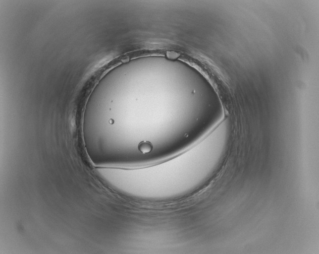 X0000115831261200911271151