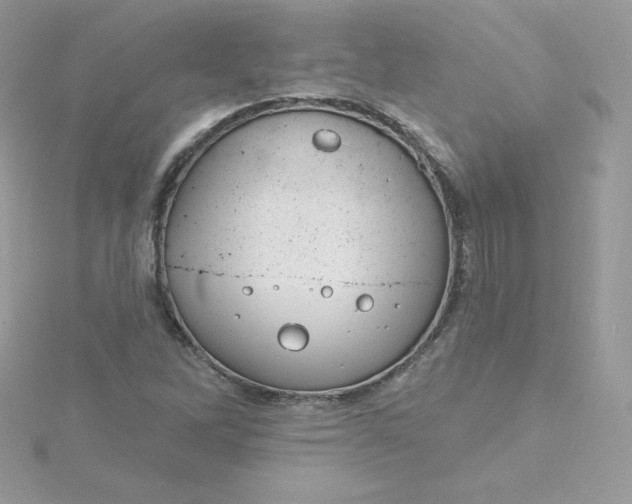 X0000115831262200911271151