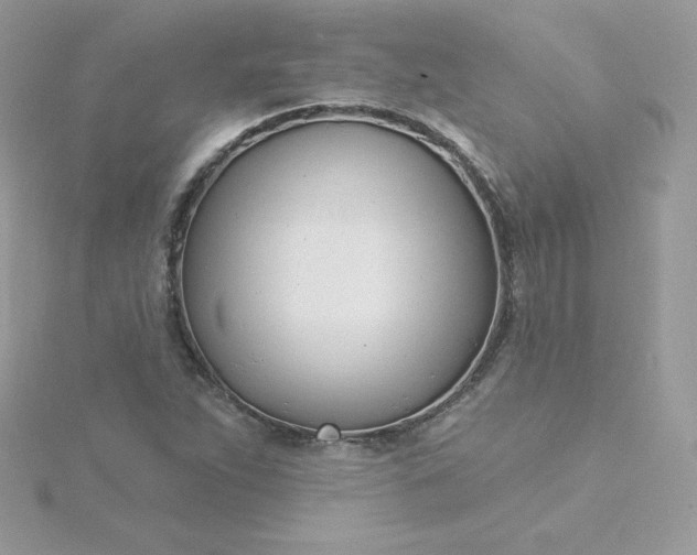 X0000115831263200911271151