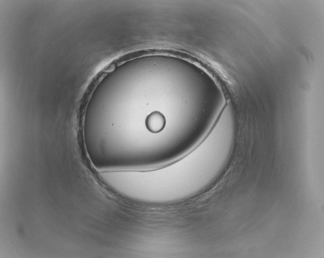 X0000115831264200911271151