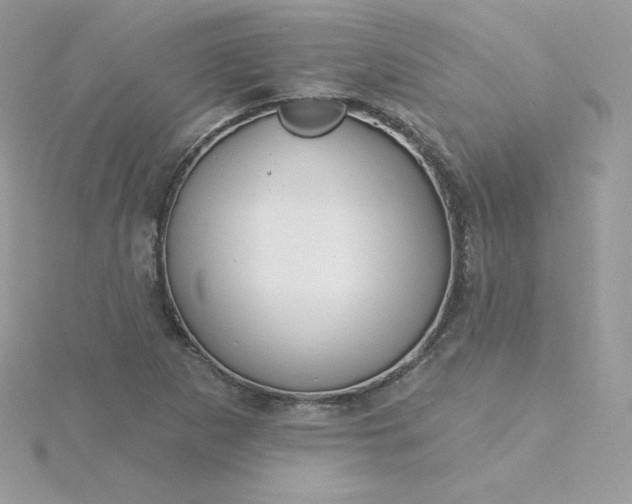 X0000115831265200911271151