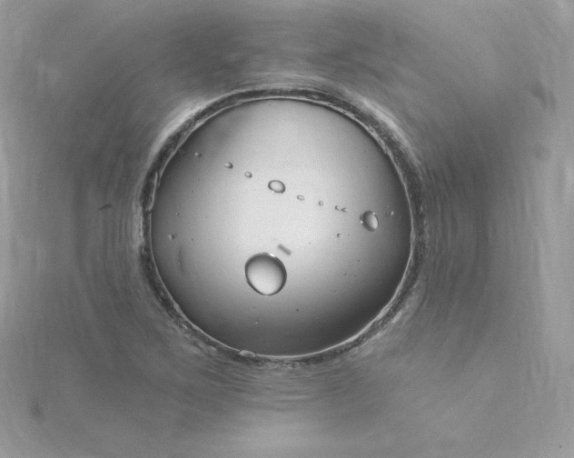 X0000115831267200911271151