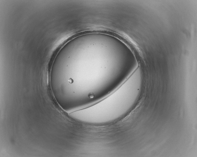 X0000115831269200911271151