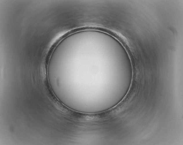 X0000115831271200911271151