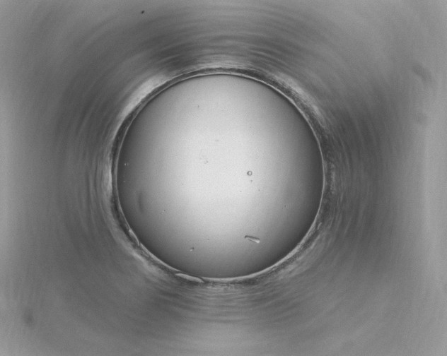 X0000115831274200911271151