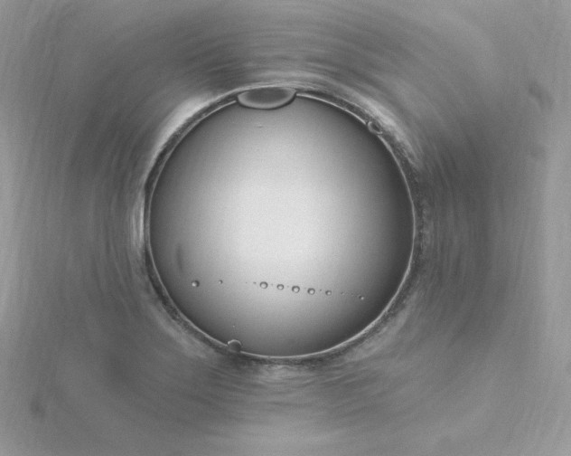 X0000115831275200911271151