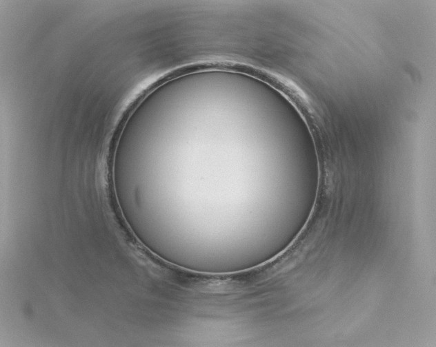 X0000115831279200911271151