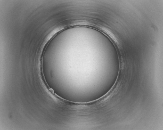 X0000115831282200911271151