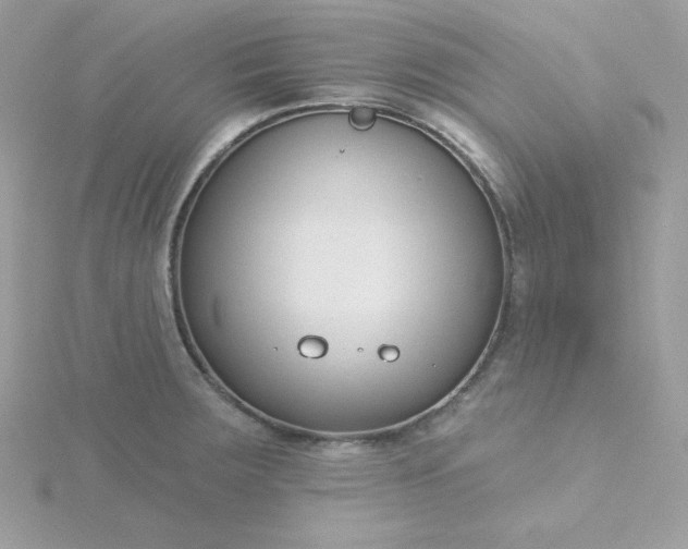 X0000115831283200911271151