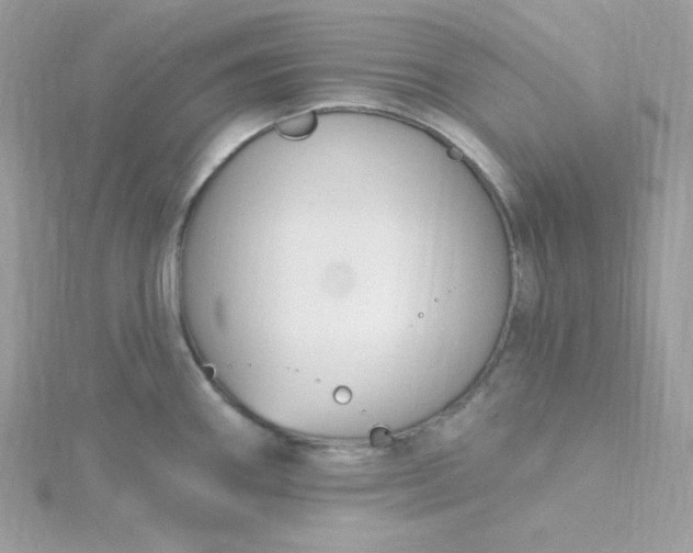 X0000115831290200911271151