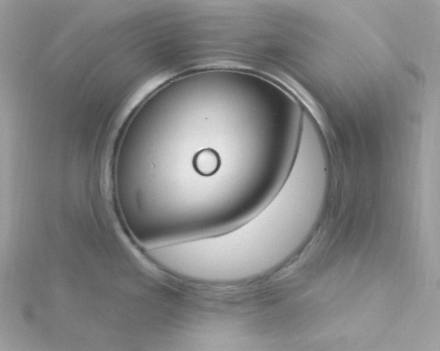 X0000115831293200911271151