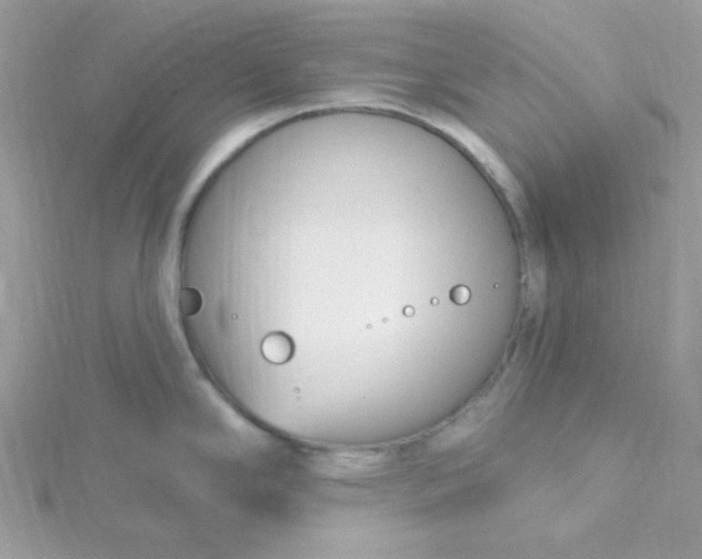 X0000115831294200911271151