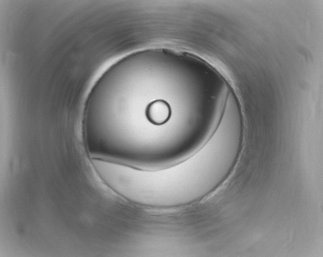 X0000115831296200911271151