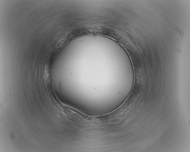 X0000115831298200911271150