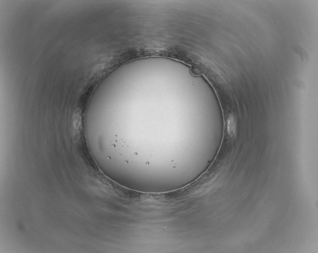 X0000115831299200911271150