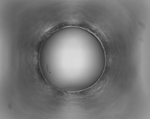 X0000115831301200911271150