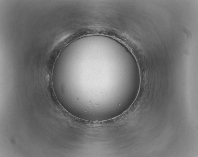 X0000115831302200911271150