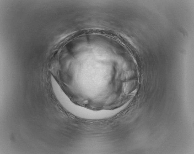 X0000115831303200911271150