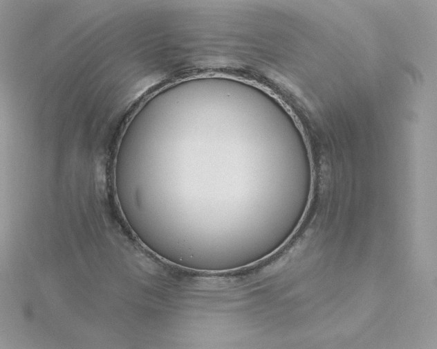 X0000115831305200911271150