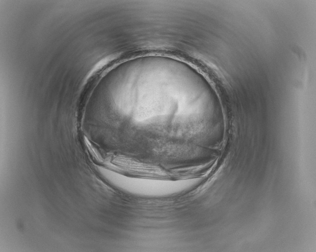 X0000115831306200911271150