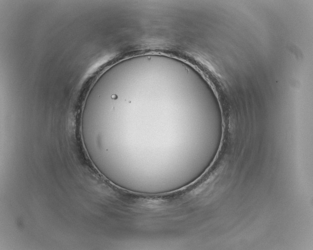 X0000115831309200911271150