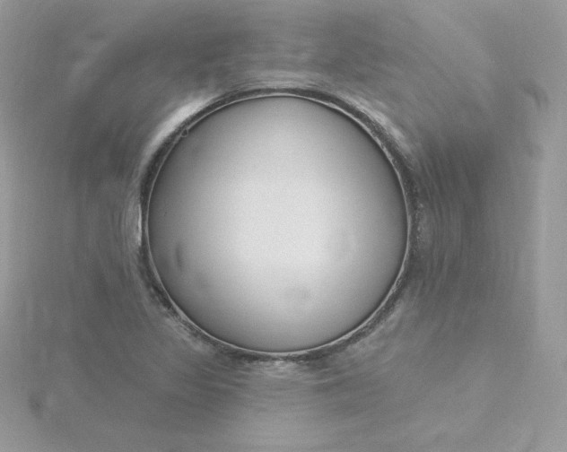 X0000115831317200911271150