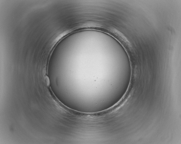 X0000115831321200911271151