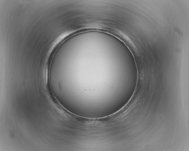 X0000115831323200911271151